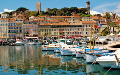 Cannes 595