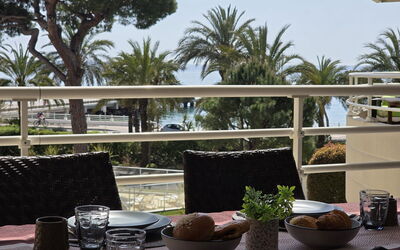 Accommodation:&nbsp;Royal Palm 595.3