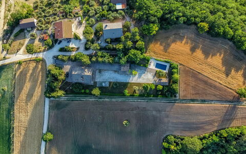 Sunrise Hill Holiday Home: Plant, Building, Green, Natural Landscape, Land Lot, Urban Design, Vegetation, Slope, House, Grass