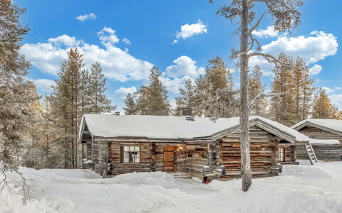 Poromooli A1: Wood, Cottage, Log Cabin, Forest, Shed, Garden Buildings, Larch, Woodland, Wood Stain