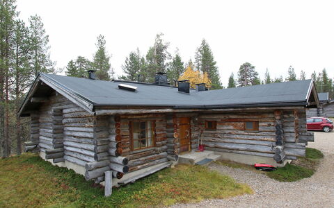 Poromooli A1: Wood, Cottage, Log Cabin, Forest, Shed, Garden Buildings, Larch, Woodland, Wood Stain