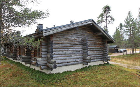 Poromooli A1: Wood, Cottage, Log Cabin, Forest, Shed, Garden Buildings, Larch, Woodland, Wood Stain