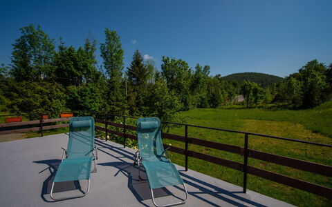 The Fox: Sky, Plant, Property, Ecoregion, Natural Landscape, Outdoor Furniture, Tree, Land Lot, Grass, Leisure