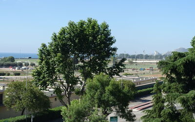 Bel Horizon