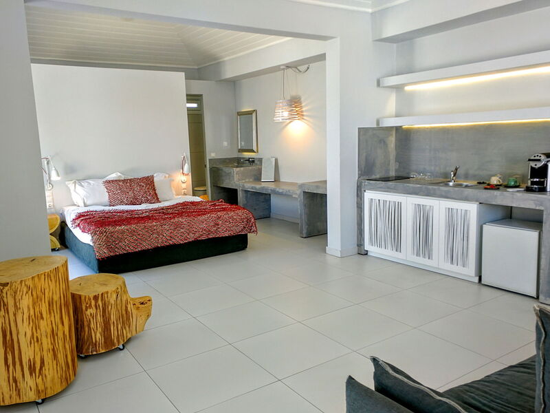 Accommodation:&nbsp;Superior Apartment 1.2