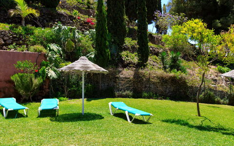 Ladera del Mar: Plant, Outdoor Bench, Plant Community, Furniture, Green, Tree, Shade, Leaf, Outdoor Table, Outdoor Furniture