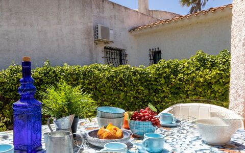 Moru: Plant, Tableware, Property, Blue, Azure, Green, Window, Drinkware, Dishware, Bottle