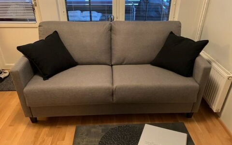 Point Vale 3: Couch, Living Room, Sofa Bed, Pillow