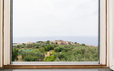 Garden House Li Galli: Sky, Window, Azure, Rectangle, Vegetation, Cloud, Building, Plant, Wood