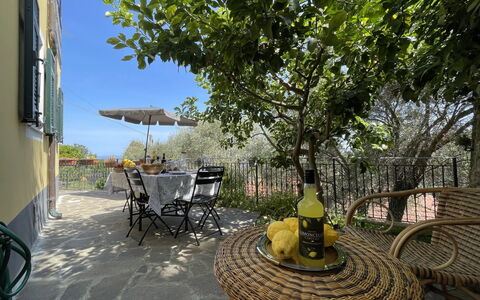 Lingueglietta 6: Table, Plant, Furniture, Chair, Flowerpot, Tree, Outdoor Furniture, Road Surface, Outdoor Table, Sky