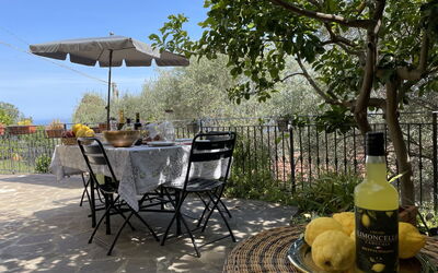 Lingueglietta 6: Table, Plant, Furniture, Property, Chair, Tree, Outdoor Furniture, Outdoor Table, Sky, Shade