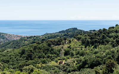 Accommodation:&nbsp;Terrazza Bella Vista 6.2