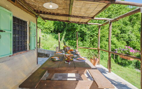 Il Nido: Plant, Property, Shade, Window, Wood, Interior Design, Grass, Flowerpot, Leisure, Outdoor Furniture