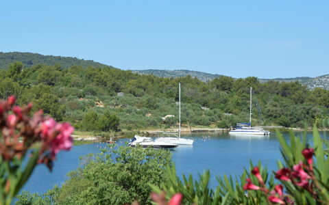 Katenas: Water, Flower, Sky, Plant, Boat, Plant Community, Watercraft, Natural Landscape, Lake, Tree