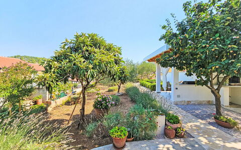 Katenas: Plant, Sky, Property, Flowerpot, Botany, Vegetation, Houseplant, Biome, Tree, Landscape