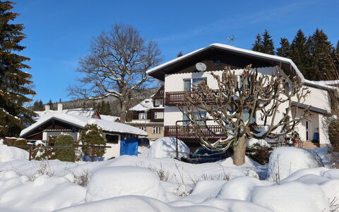 Harrachov 417: Property, Sky, Table, Wood, Shade, Floor, Outdoor Furniture, Chair, Flooring, Wood Stain