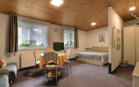 Harrachov 417: Furniture, Table, Comfort, Houseplant, Architecture, Chair, Building, Window, Living Room, Floor