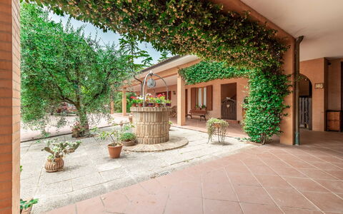 Villa Rosso Corbezzolo: Plant, Building, Flowerpot, Houseplant, Window, Door, Wood, Architecture, Grass, Shade