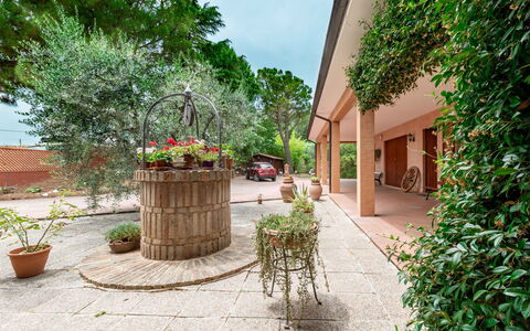 Villa Rosso Corbezzolo: Plant, Property, Flowerpot, Building, Flower, Houseplant, Road Surface, Architecture, Neighbourhood, Flooring