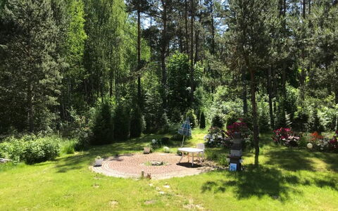Wałpusz: Plant, Plant Community, Tree, Natural Landscape, Land Lot, Sky, Larch, Grass, Evergreen, Groundcover