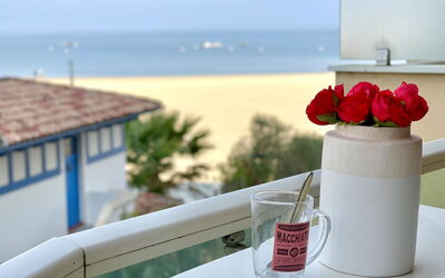 Joséphine 332.2: Water, Flower, Plant, Sky, Property, Azure, Table, Drinkware, Window, Outdoor Furniture