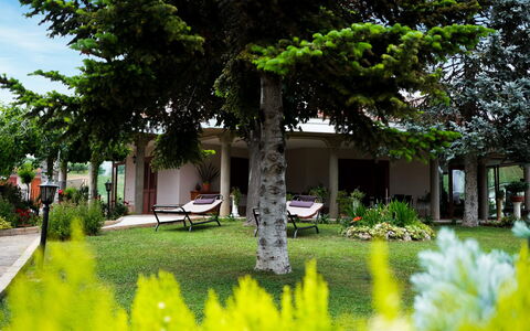 Residenza Thaulero: Plant, Property, Building, Botany, Green, Nature, Leaf, Tree, Vegetation, Architecture