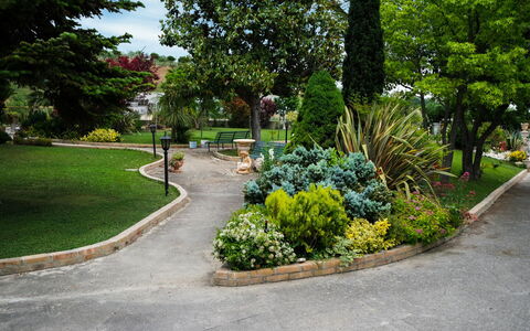 Residenza Thaulero: Plant, Tree, Botany, Road Surface, Asphalt, Urban Design, Flower, Groundcover, Road, Grass