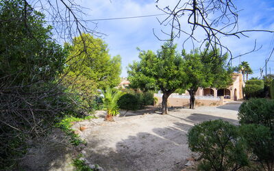 Marisol Park