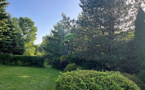 Kierlikówka: Plant, Sky, Plant Community, Natural Landscape, Branch, Land Lot, Tree, Shade, Grass, Evergreen