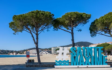 Sainte Maxime 225: Sky, Tree, Azure, Shade, Arecales, Water, Trunk, Leisure, Morning, Landscape
