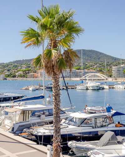 Sainte Maxime 225