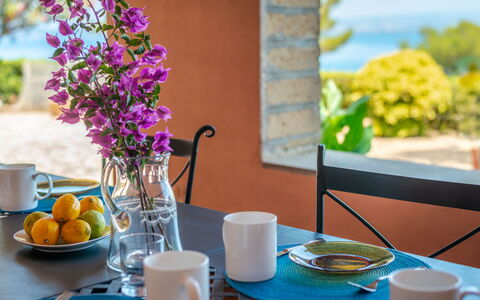 Sole: Tableware, Table, Property, Drinkware, Cup, Blue, Azure, Plant, Tablecloth, Purple