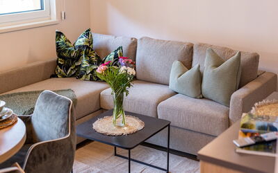 Top 6 420.6: Table, Furniture, Couch, Property, Window, Studio Couch, Pillow, Interior Design, Living Room, Rectangle
