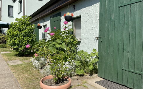 Gingst 602: Plant, Flower, Property, Window, Building, Flowerpot, Wall, Grass, House, Siding