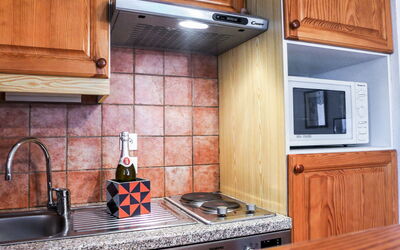 Accommodation:&nbsp;L'Espace Montagne 480.5
