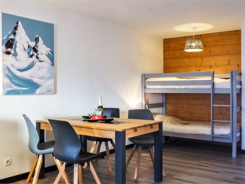 Accommodation:&nbsp;L'Espace Montagne 480.16