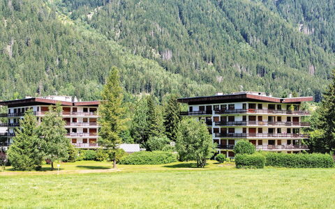 Chamonix 490: Building, Plant, Mountain, Ecoregion, Tree, Natural Landscape, Highland, House, Land Lot, Slope