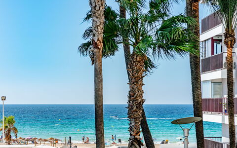 Bahia del Sol: Body Of Water, Beach, Coast, Sea, Coastal And Oceanic Landforms, Ocean, Shore, Resort, Tropics