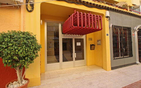 Apolo Iii: Plant, Furniture, Property, Window, Chair, Building, Wood, Lighting, Flowerpot, Architecture