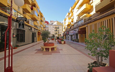 Apolo Iii: Plant, Furniture, Property, Window, Chair, Building, Wood, Lighting, Flowerpot, Architecture