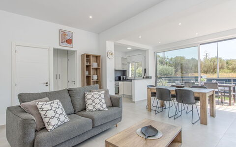Gironés: Couch, Furniture, Property, Table, Picture Frame, Plant, Lighting, Interior Design, Living Room, Studio Couch