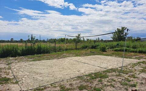 Balatoni Farmhaz: Cloud, Plant, Sky, Plant Community, Natural Landscape, Tree, Land Lot, Agriculture, Cumulus, Grass