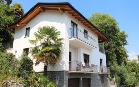 Lucina: Sky, Plant, Building, Window, Tree, House, Wheel, Land Lot, Arecales