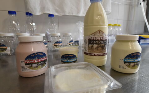 Chiavenna 100: Food, Bottle, Ingredient, Drinkware, Drink