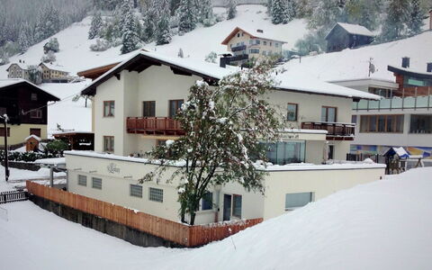 See 208: Snow, Building, Plant, Window, Slope, House, Freezing, Tree, Residential Area, Landscape