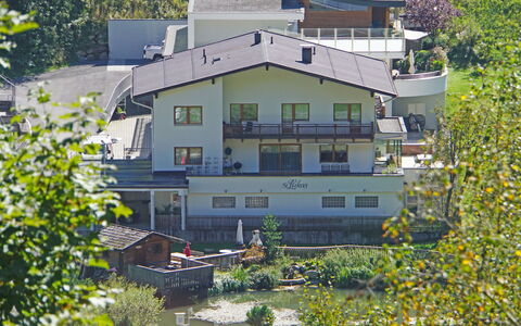 See 208: Building, Plant, Window, Leaf, Botany, House, Yellow, Urban Design, Tree, Biome