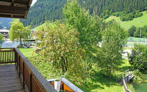 See 208: Plant, Property, Plant Community, Green, Leaf, Nature, Mountain, Tree, Natural Landscape, Botany