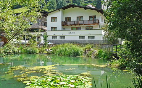 See 208: Water, Plant, Building, Window, Nature, Botany, Tree, Natural Landscape, Vegetation, Flower