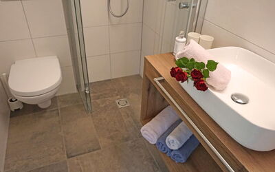 Hirsch 208.2: Plumbing Fixture, Bathroom Sink, Tap, Bathroom, Sink, Purple, Interior Design, Flooring, Floor, Toilet Seat