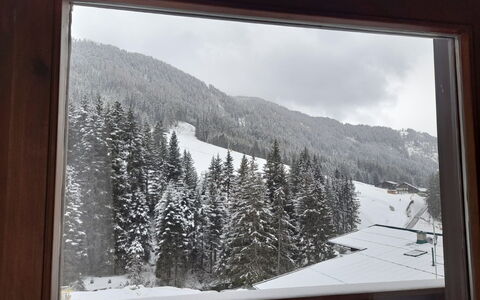 Elisabeth: Sky, Property, Snow, Mountain, Nature, Black, Leaf, Branch, Slope, Tree